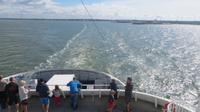 Auf der Fähre zur Insel Muhu