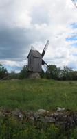 Die erste Windmühle auf Muhu