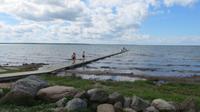 Kurzer Strandstopp auf Saaremaa