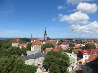 Blick über die Altstadt von Tallinn