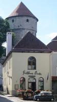 Restaurant zum Abendessen in Tallinn