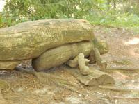 Hexenberg Jouodkrante