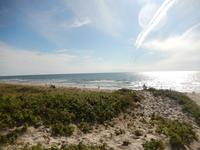Kurische Nehrung Strand