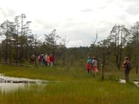 Lahemaa Nationalpark Wanderung