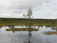 Lahemaa Nationalpark