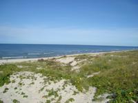 Nidden: Dünenlandschaft