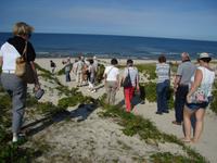 Nidden: Dünenlandschaft