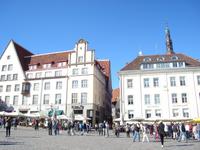 Tallinn: Stadtrundgang: Markt