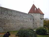 Tallinn: Stadtmauer mit Kiek in de Kök