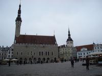 Tallinn: Rundgang, Rathaus