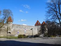 Estland_Tallin_Stadtmauer
