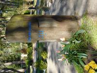 Litauen_Kurische_Nehrung_Nidden_Friedhof (5)