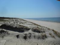 Litauen_Memel_Kurische_Nehrung (4)