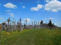 Litauen_Schaulen_Berg_der_Kreuze (2)