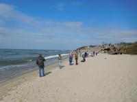 Russland_Königsberger_Gebiet_Kurische_Nehrung (6)