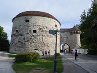 Estland_Tallin_Dicke_Margarethe
