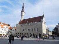 Estland_Tallin_Markt_Rathaus