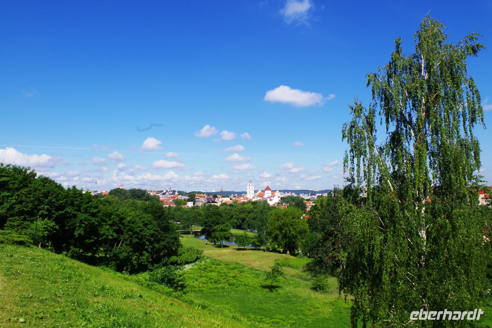 Vilnius von oben