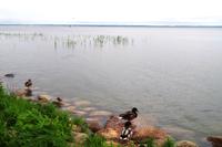 Ausflug Kurische Nehrung