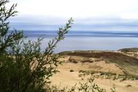 Kurische Nehrung - Hohe Düne in Nida