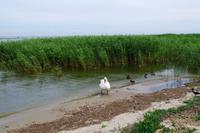 Ausflug Kurische Nehrung