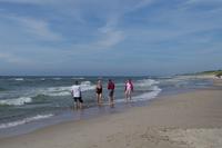 Kurische Nehrung - Ostseestrand