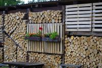 Unterwegs in Lettland