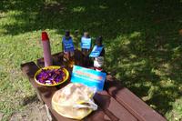 Gauja Nationalpark - Picknick