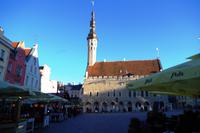 Tallinn - Rathaus