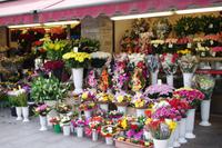 Unterwegs in Tallinn