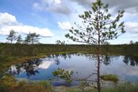 Estland - Lahemaa Nationalpark