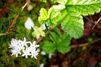 Lahemaa Nationalpark