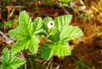 Lahemaa Nationalpark