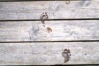 Lahemaa Nationalpark