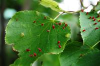 Lahemaa Nationalpark