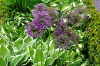 Lahemaa Nationalpark