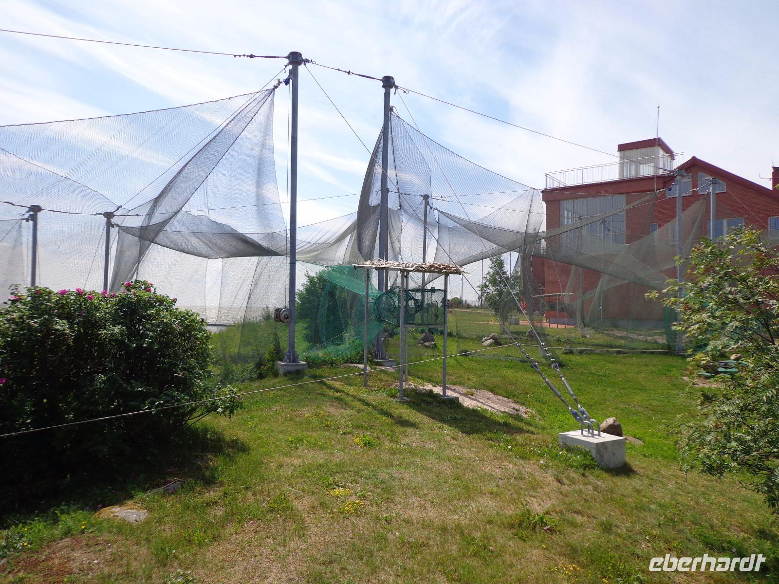 Vente (Treffen mit dem Ornitologen)