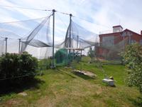 Vente (Treffen mit dem Ornitologen)