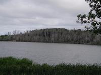 Auf dem Weg nach Palanga