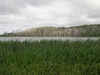 Auf dem Weg nach Palanga