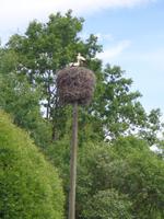 Auf dem Weg nach Pärnu