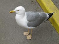 na,fällt was ab für mich ?