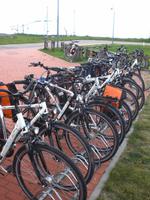 Trekkingräder in Vente bei der Vogelstation