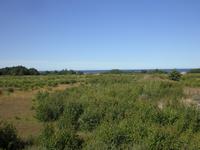 Naturschutzgebiet in Litauen vor Palanga