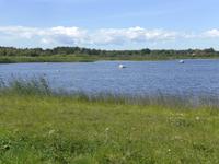 Auf der Insel Saaremaa