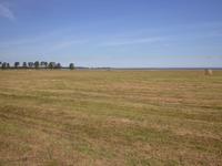 Landschaftsbild auf der Insel Saaremaa