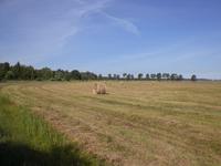 Landschaftsbild auf der Insel Saaremaa