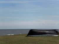 Auf der Insel Saaremaa in Sääre