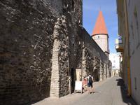 Stadtmauer in Tallinn