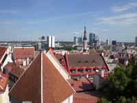 Blick über die Dächer von Tallinn